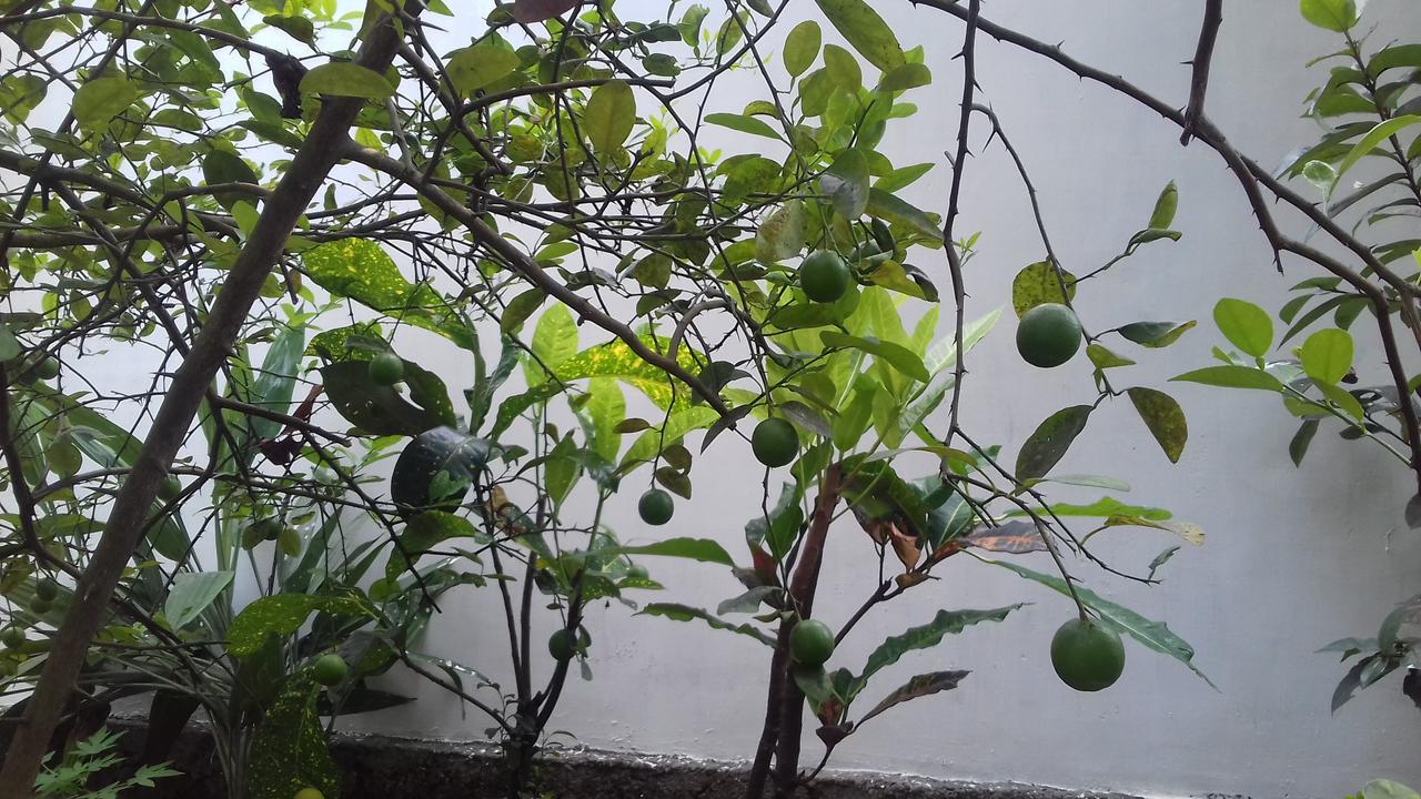 Marari Coastal Dreams Home Stay Alappuzha Kültér fotó